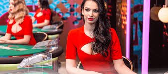 777adcasino Terms & Conditions